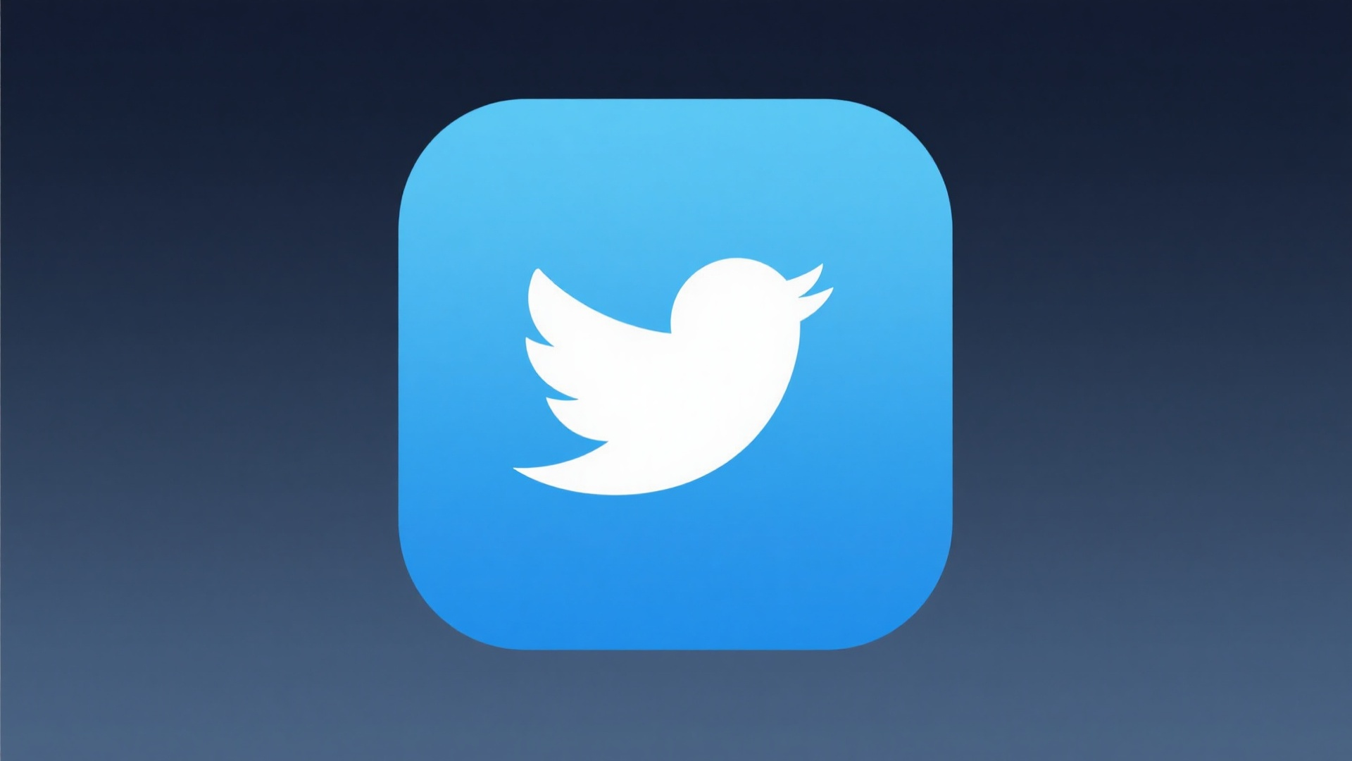 推特/X进粉工具：3个月涨粉300%的实战技巧